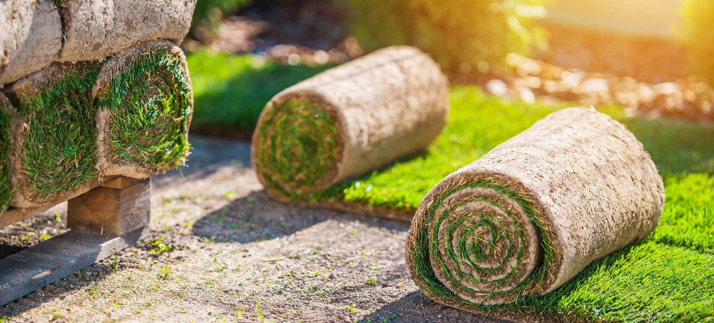 Rollen verse graszoden, klaar om te leggen